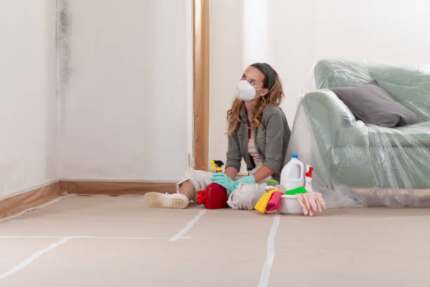Reliable Commercial Mold Remediation contractor in Portage, PA by WQB Mold Removal